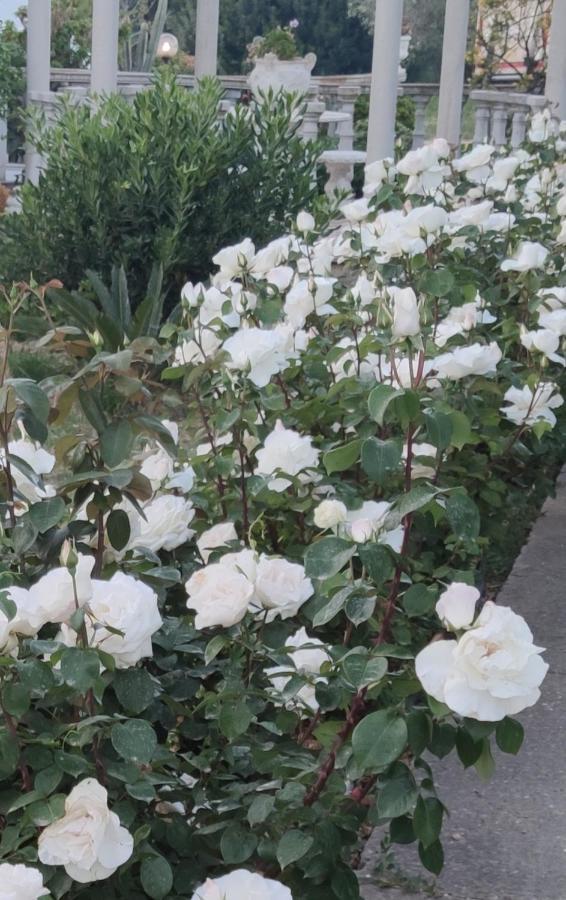 Hébergement de vacances La Casa Delle Rose 1